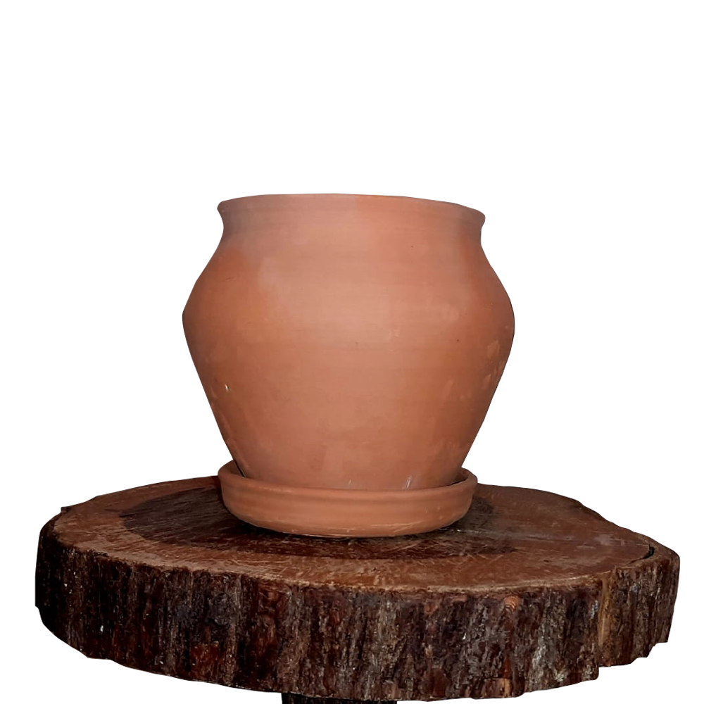 plant-pot-indooroutdoor-plants-5-x-8