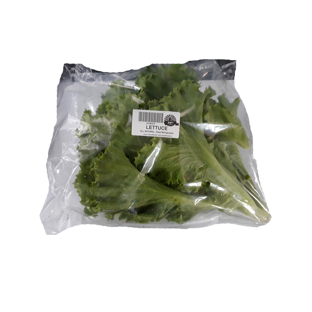 lettuce-aryfc-sku-008
