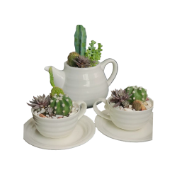 Cactus Tea Pot and Cups Arrangement