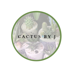 Cactus Tea Pot and Cups Arrangement