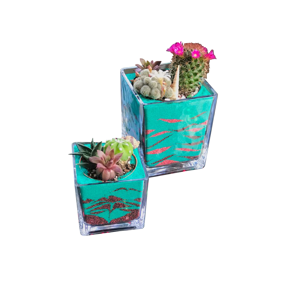 twirled-sand-designed-terrarium-style-1-2-12-cbj-sku-010