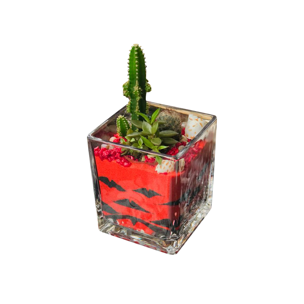 twirled-sand-designed-terrarium-style-2-3x3-cbj-sku-011