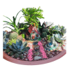 Cactus & Succulent Garden Large