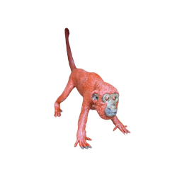 Balata Animals - Howler Monkey