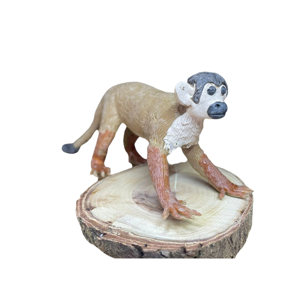 balata-animals-squirrel-monkey-sakiwinki-tdc-sku-012