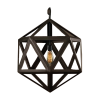 Lamp - Decorative Pendant Lamp - Iron Body - Black - D350mm